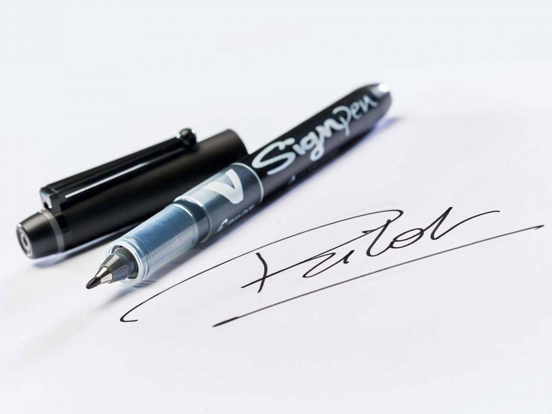 Ручка капиллярная PILOT V Sign Pen