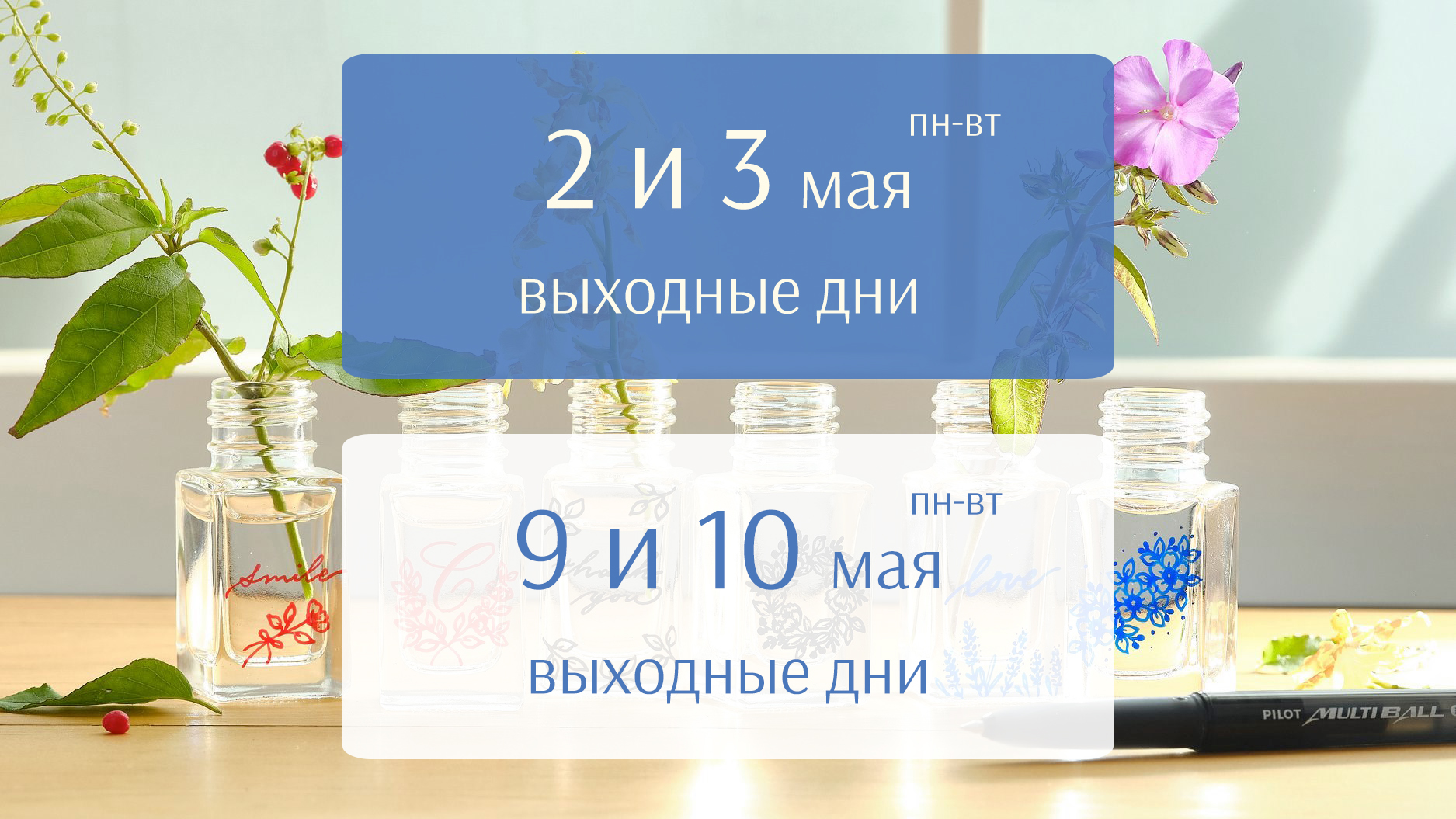 График работы интернет-магазина pilotrus.ru в мае 2022 года